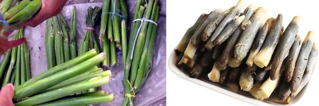 高粱全世界都有吗,高粱为何如今在中国很少见了