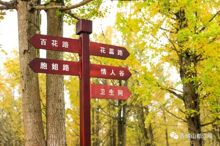 青城山熊猫谷都江堰一日游攻略,熊猫谷青城山都江堰一日游攻略