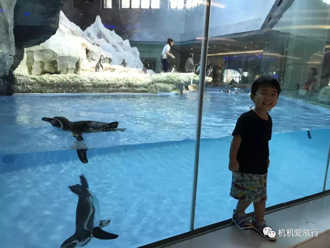 珠海和广州长隆旅游攻略,珠海长隆乐园游玩攻略