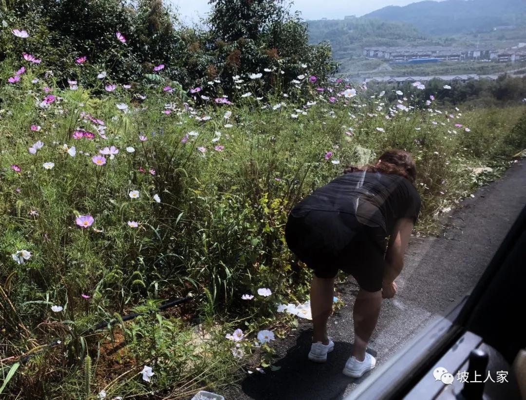 一只宠物猫在外面可以活多久,单独养一只猫它会孤独吗