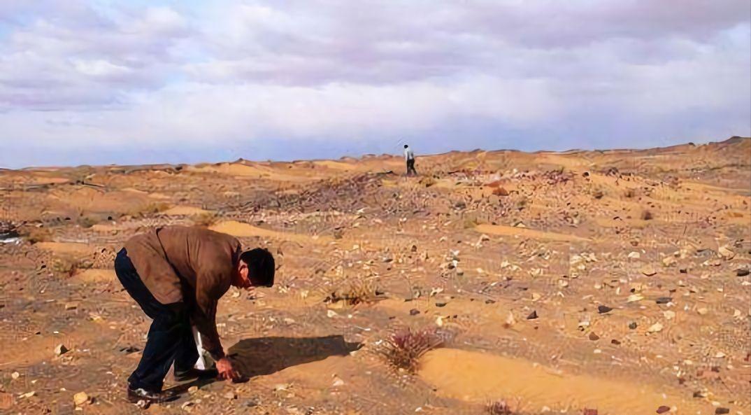 内蒙阿拉善9500万玛瑙奇石,20年前9600万的奇石现在值多少钱