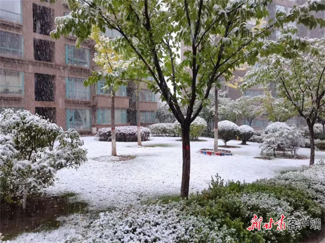 平凉崆峒区四路车现在停运了吗,平凉长途客车停运了吗