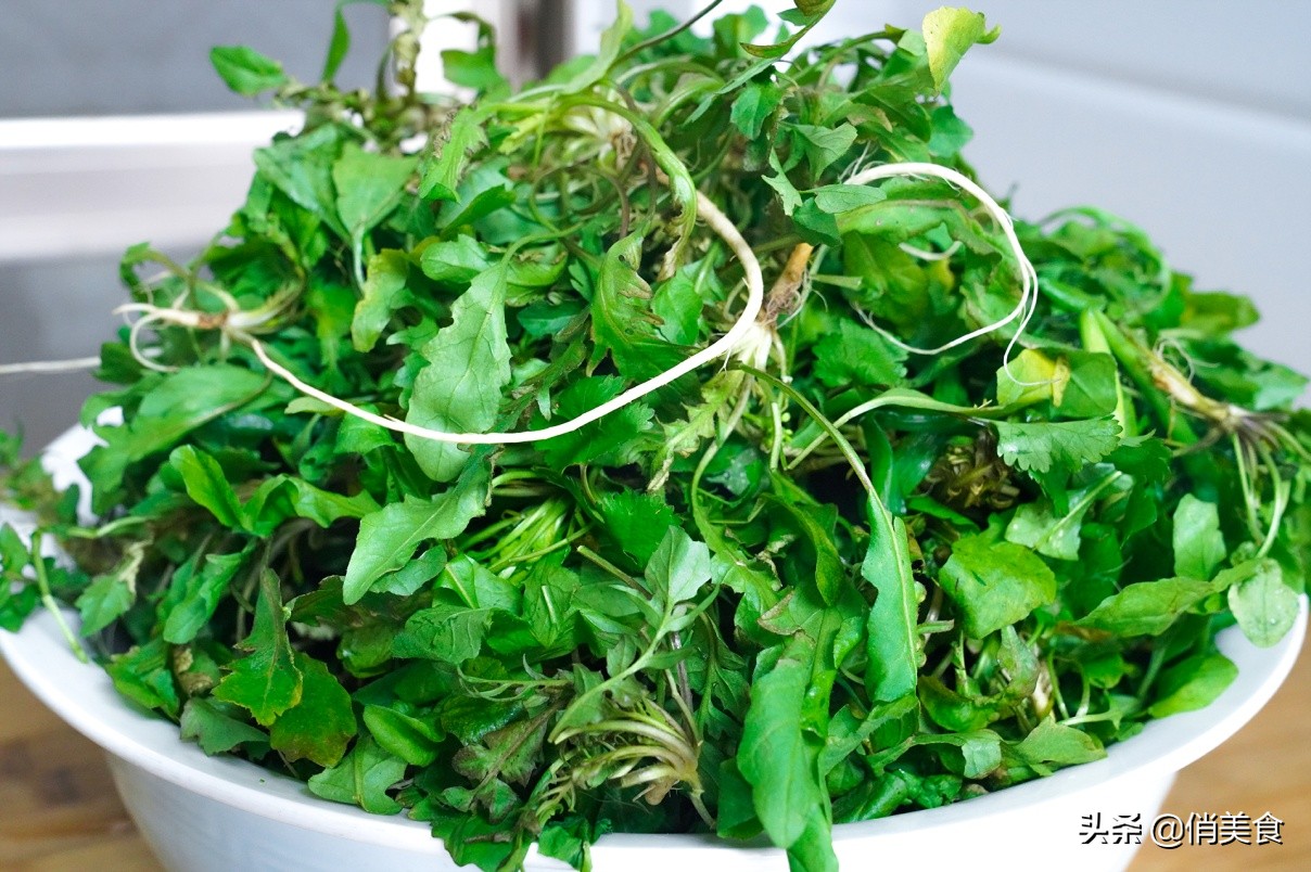 饺子馅的调制万能汁,用万能饺子馅调制蔬菜肉馅