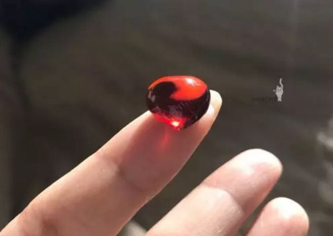 蜜蜡琥珀有多少是真的,所有蜜蜡琥珀血珀