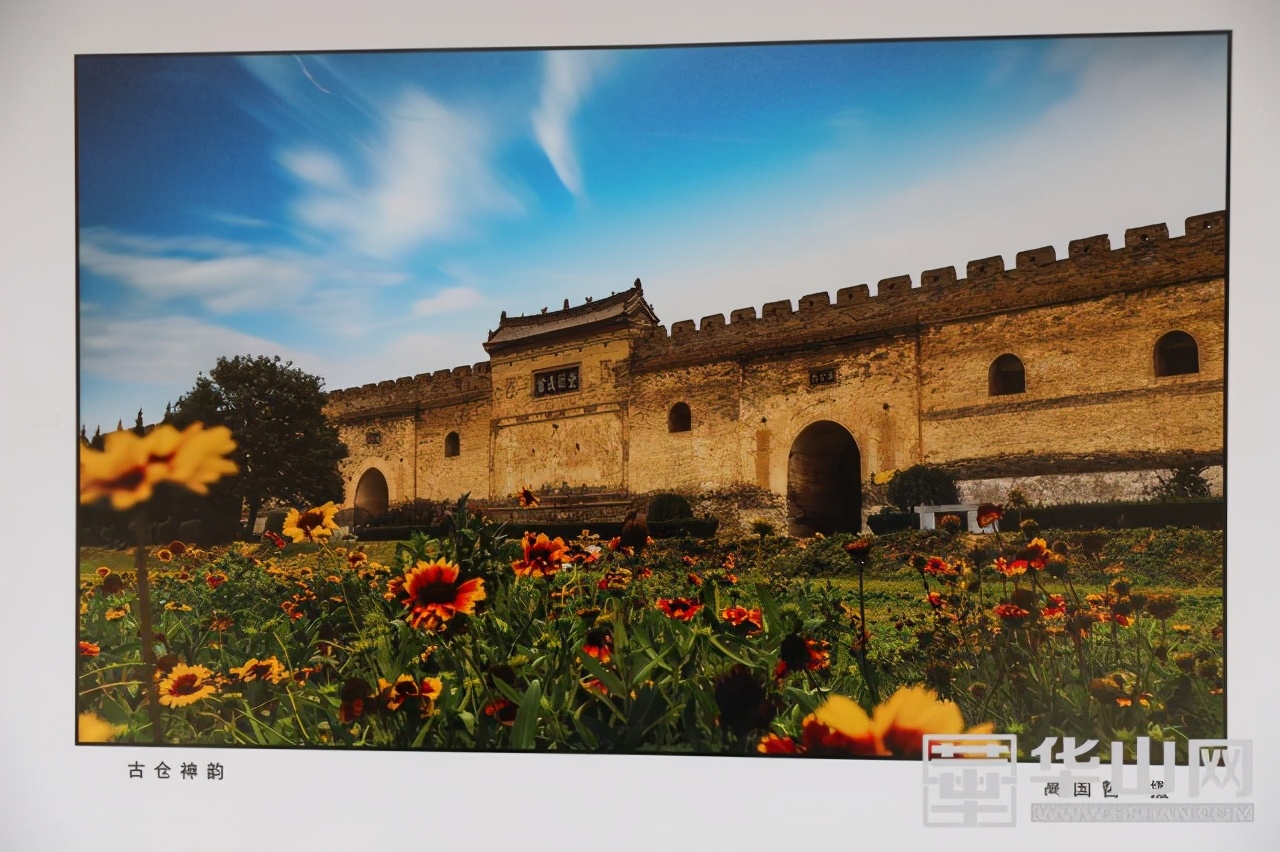 渭南半程马拉松,我要上全运马拉松