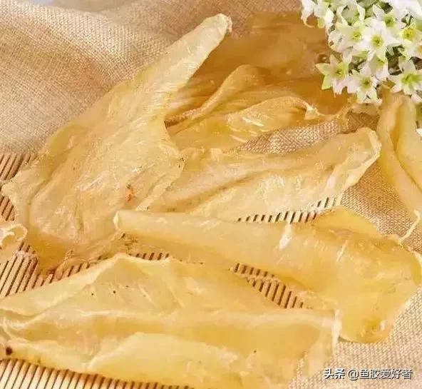 鱼肚和鱼泡和花胶的区别,花胶和鱼肚的区别在哪里