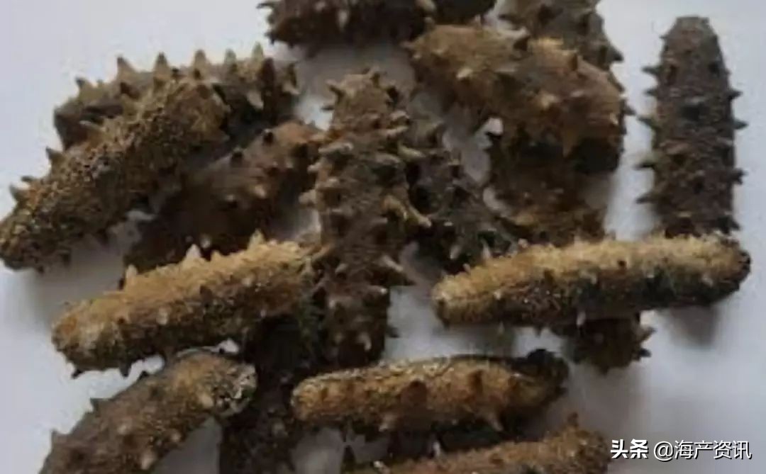 加拿大进口即食海参,加拿大即食海参500g6只左右