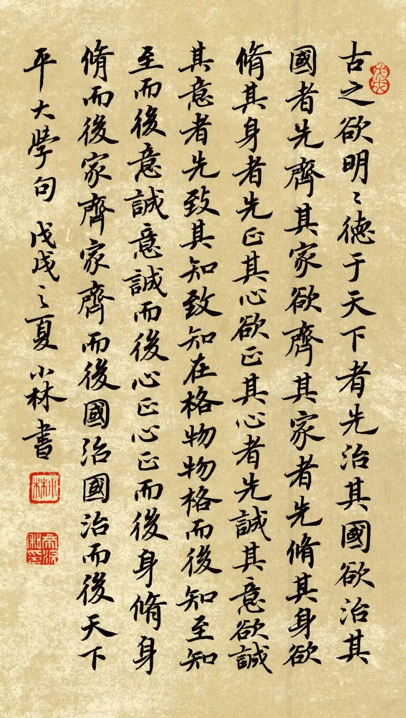 一年级作文放学和同学一起回家,放学回家后遇到感动的事情作文