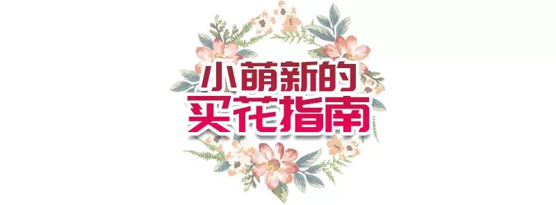 汉中门花市,汉中门花市价格