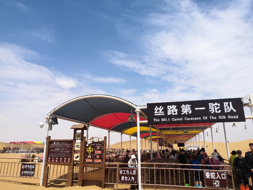 中卫沙坡头攻略,中卫沙坡头一日游攻略