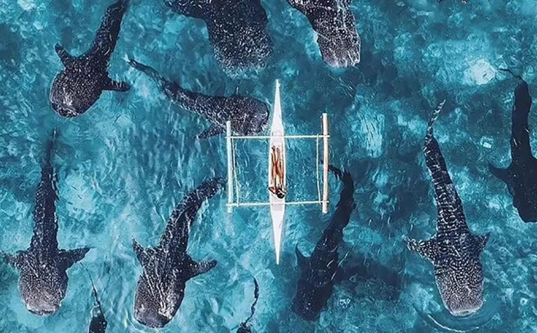 菲律宾公主岛旅游攻略菲佣,菲律宾马尼拉附近旅游攻略