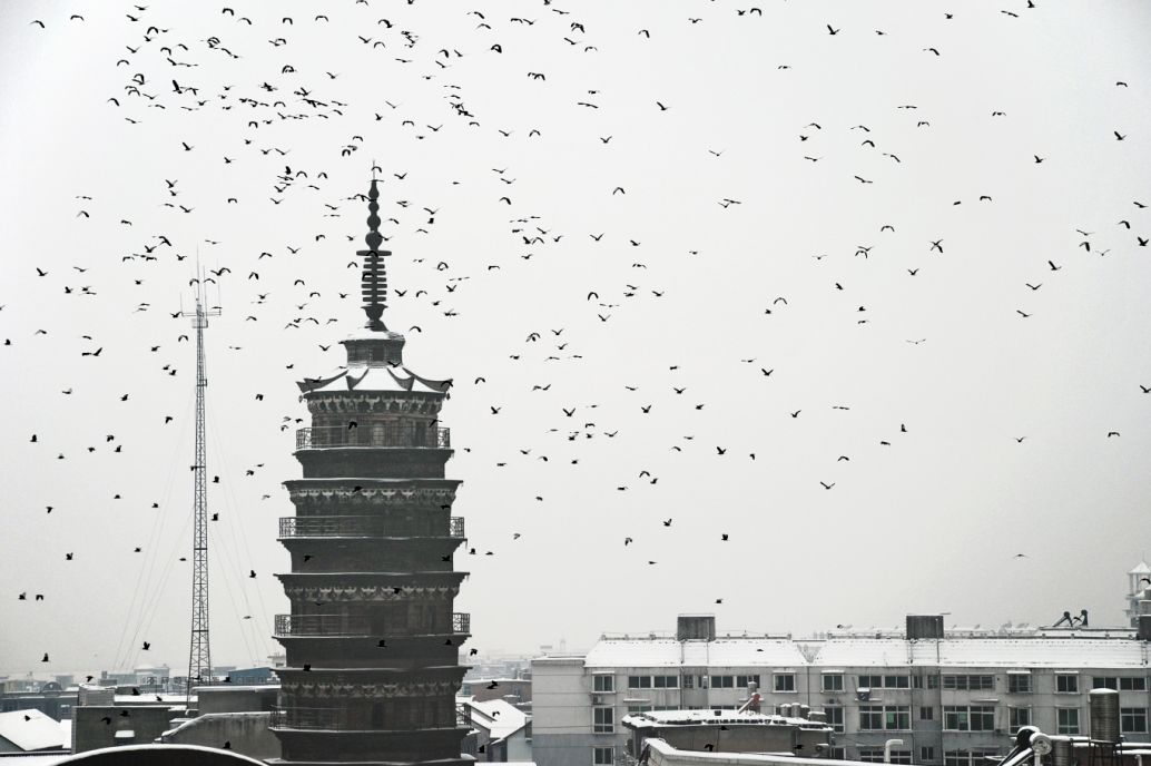 鄱湖之滨鱼米之乡,江西鄱阳湖