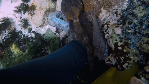 人鱼情未了在线阅读,人鱼情未了电视剧免费观看