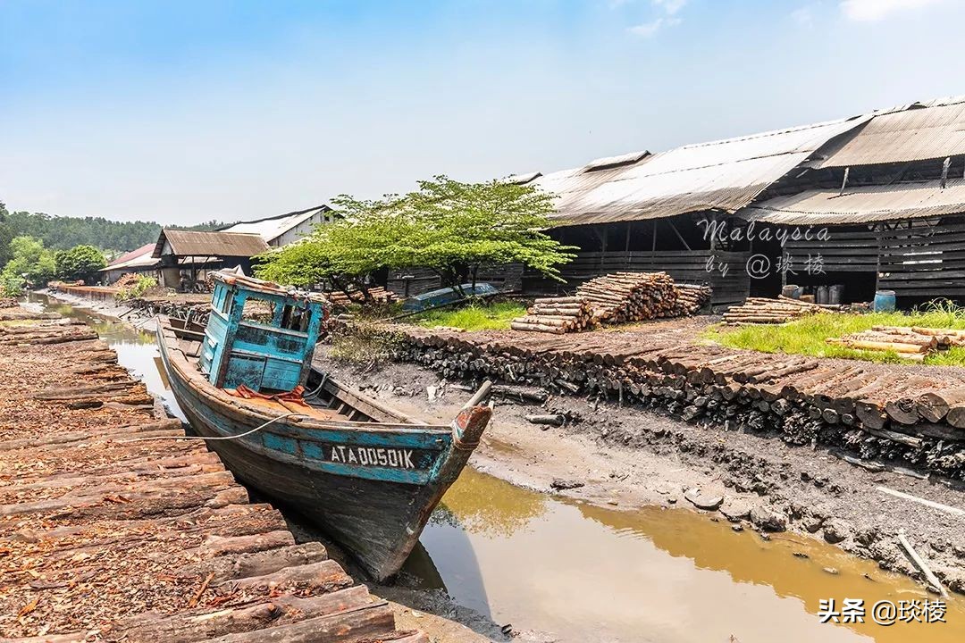 探秘大马最后的炭窑，发现某大牌神仙水，原料竟然是从木炭中来的