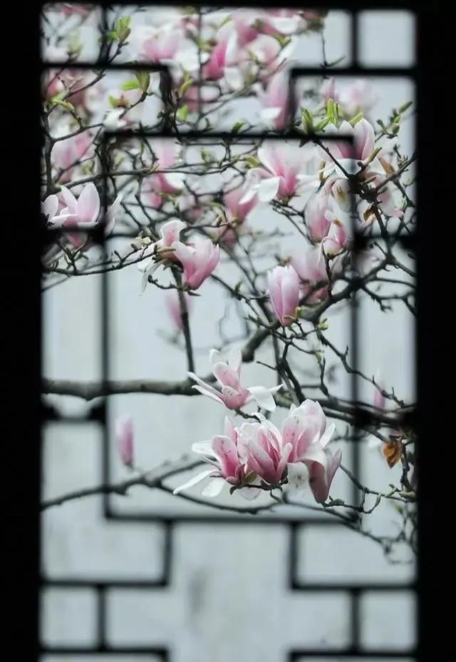 经典的俗语歇后语大全,中国民间十句经典歇后语