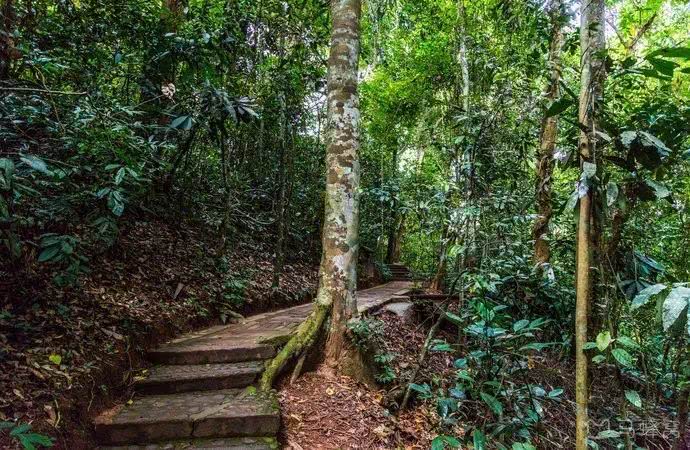 云南西双版纳幸福感,云南最有潜力的城市西双版纳