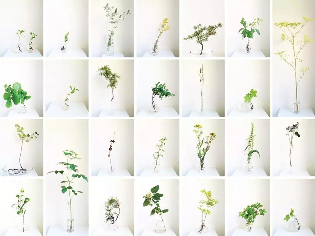 世界上超美的小花店,世界上的小花店