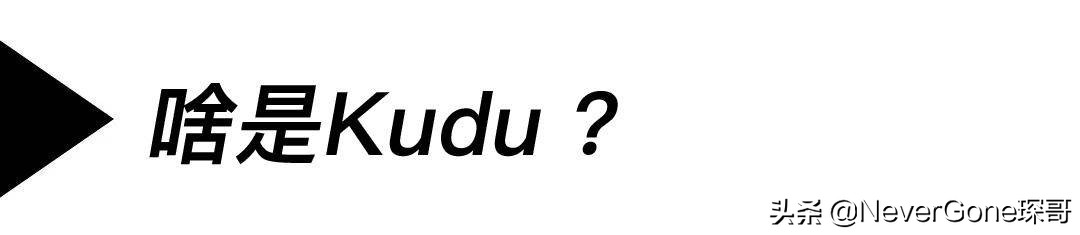牛皮马皮都看腻了，来点新鲜的吧：Kudu大合集