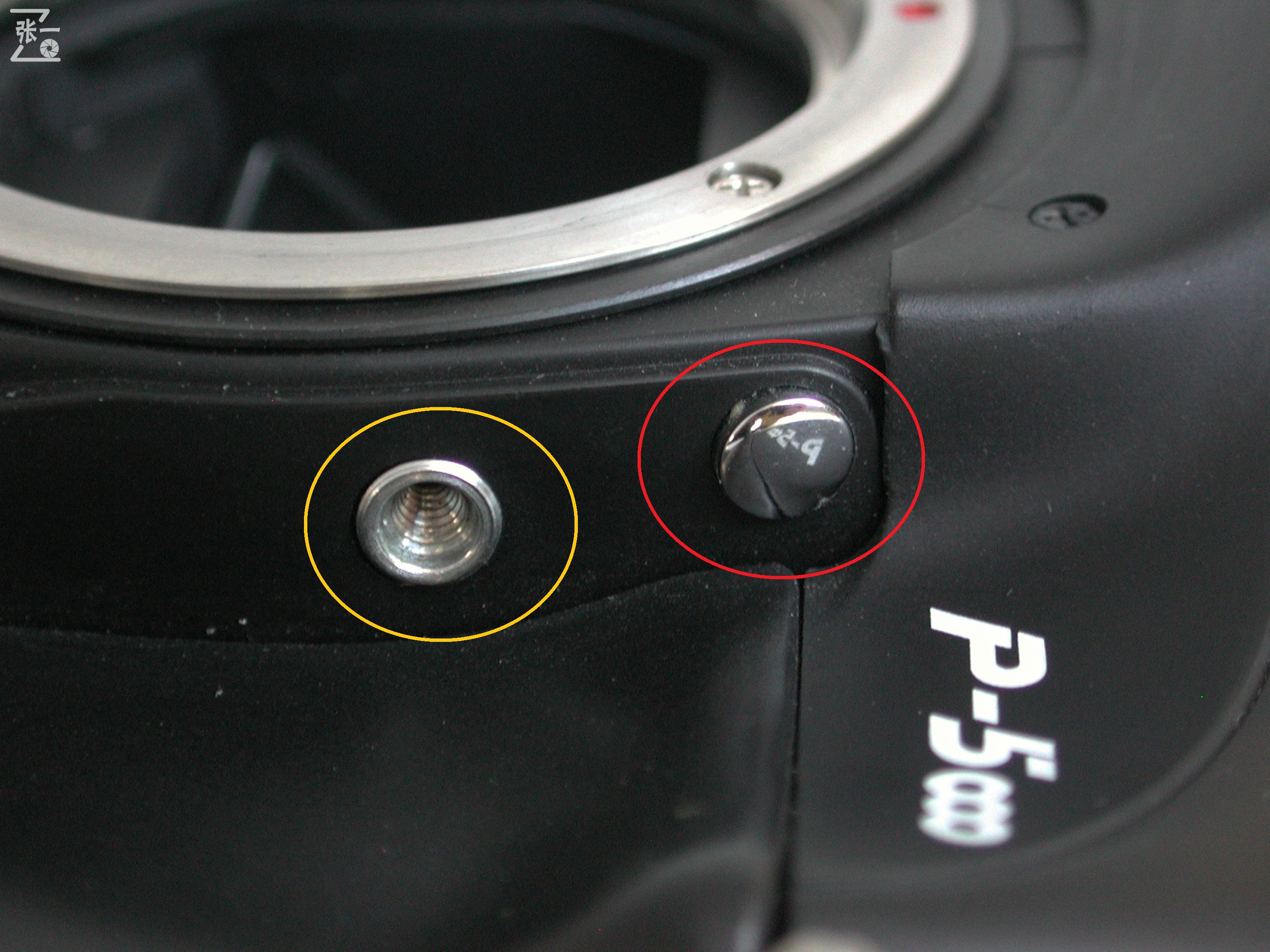 海鸥单反相机哪款型号好,海鸥单反相机是哪国品牌