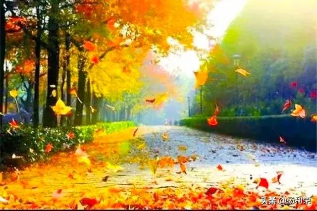 长江三峡李白的七绝,长江三峡行七绝