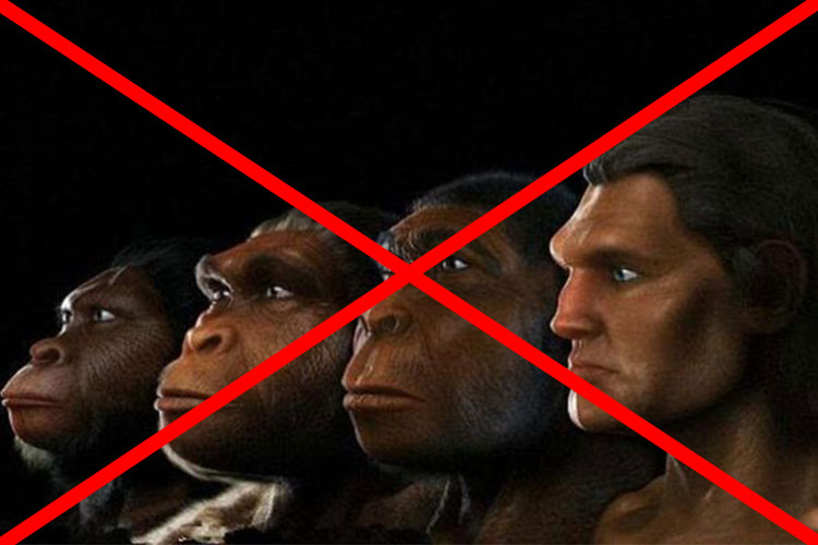 进化论真的就是我们人类的起源吗,物种起源和进化论有什么区别