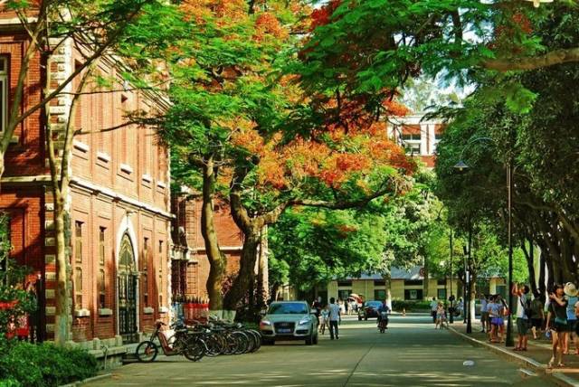 这个夏天一定要去趟厦门,夏天去厦门值得去吗