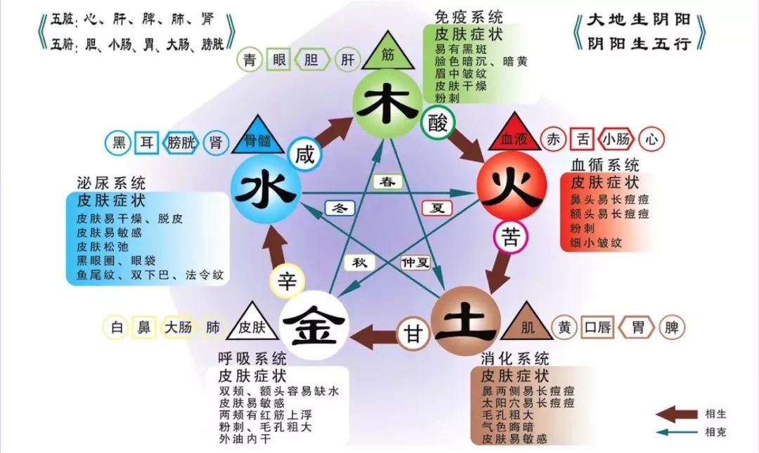 寒露至霜降艾灸养护阳气最佳时期,艾灸一个穴位就可以让你阳气十足
