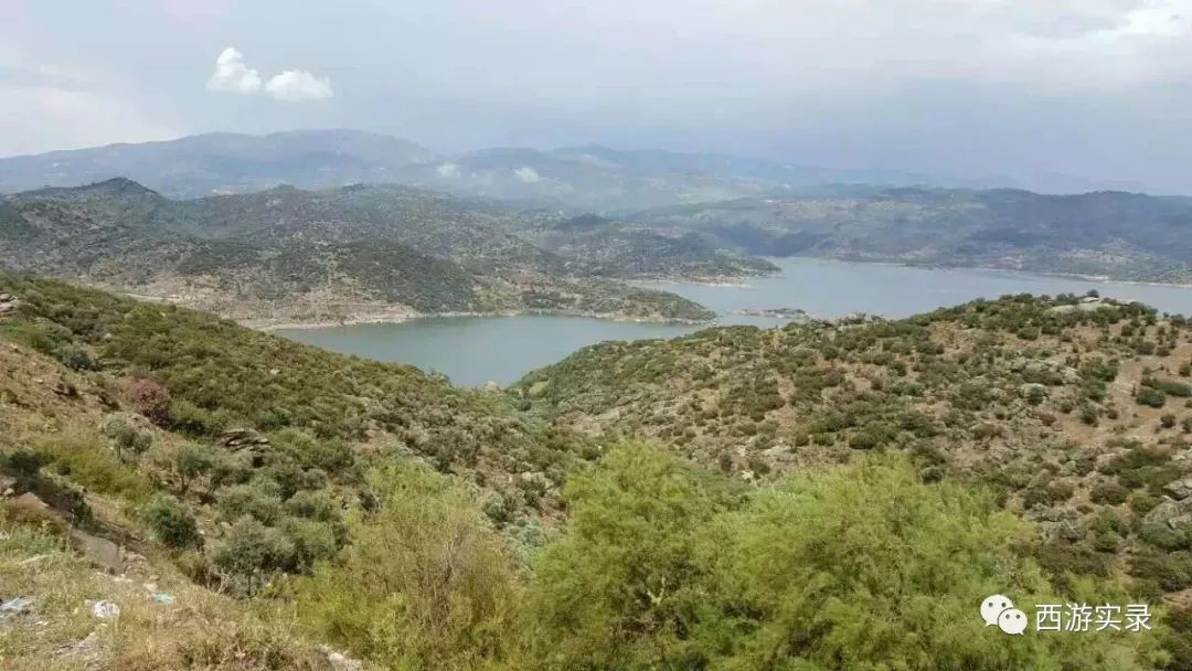 她的伊朗心上人委婉拒绝了她