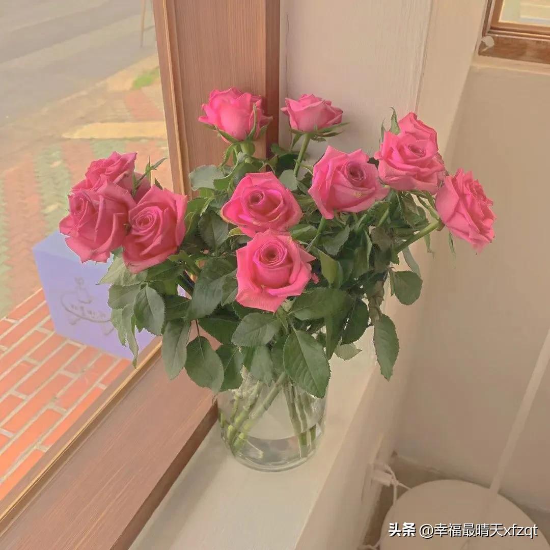 澶╄潕搴ч櫠鐧界櫧,澶╄潕搴ч櫠鐧界櫧鍥炬枃