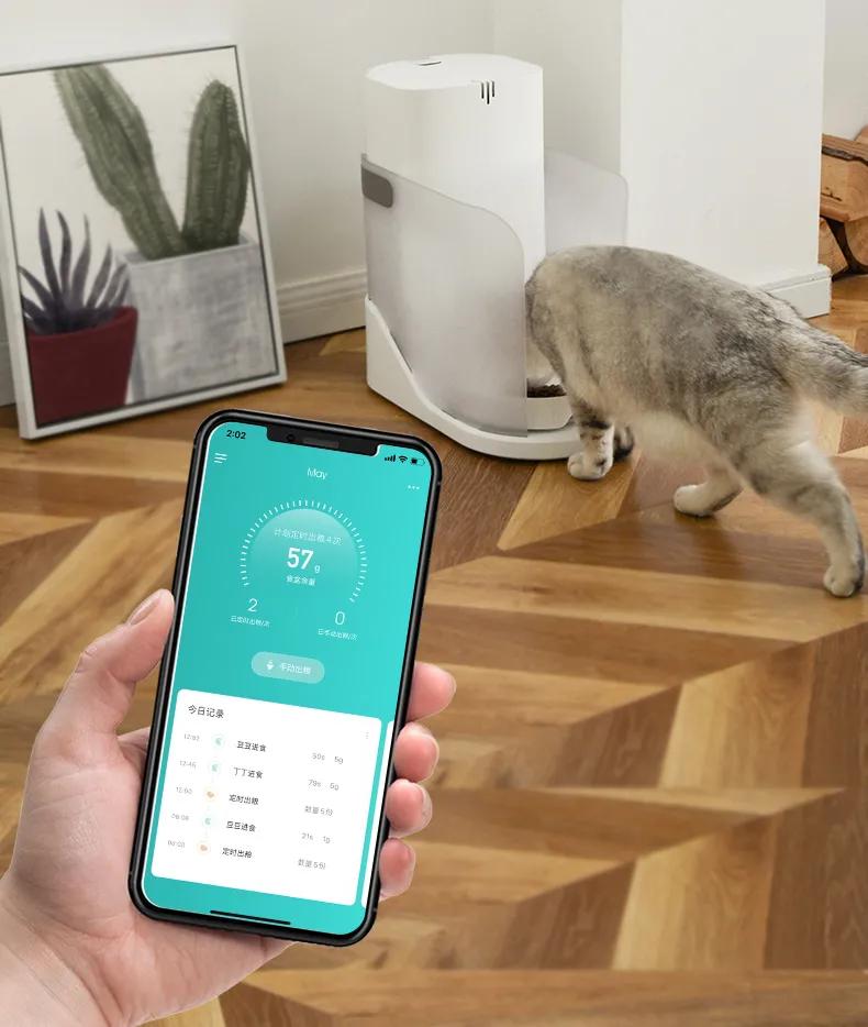 猫咪必备10大神器,猫咪必备神器排行