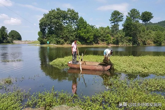樊霞四川人,樊霞养殖