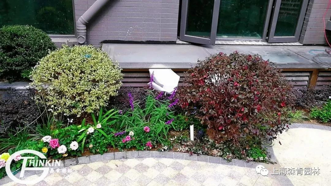 森肯园林官网,森肯园林