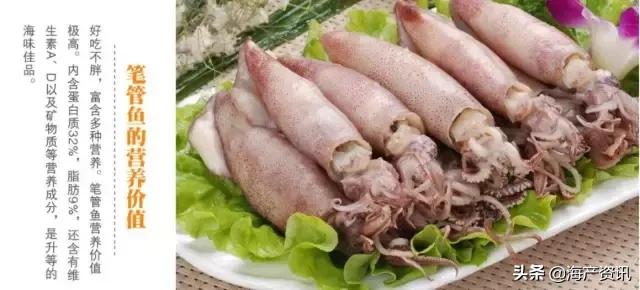 硬核科普全部,硬核科普大全视频