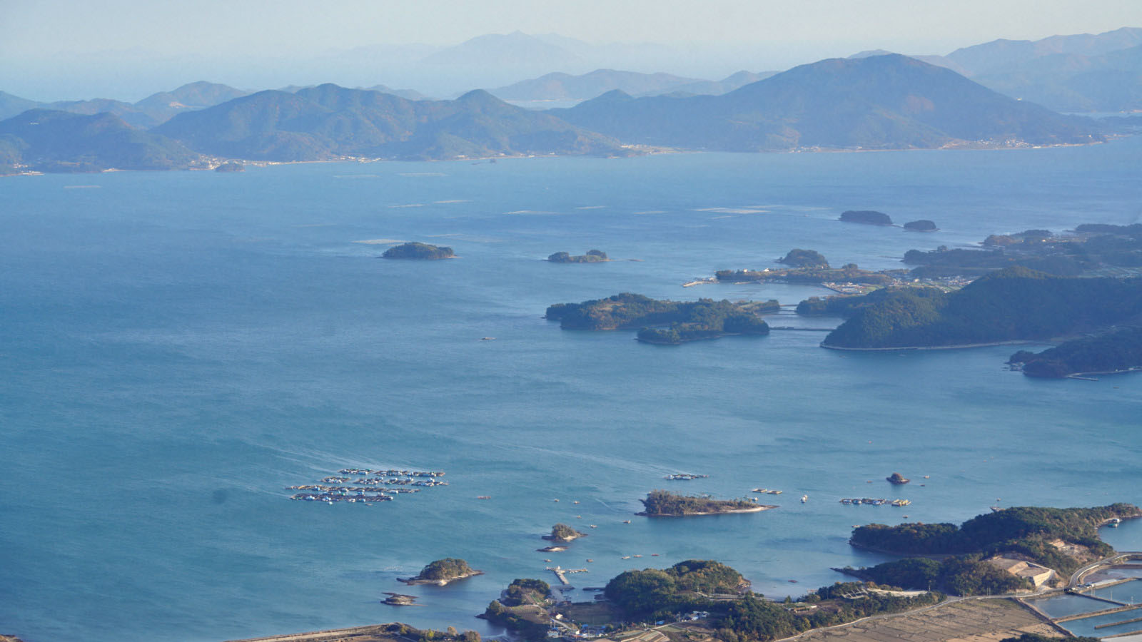 哇，人参随便挖！韩国还能这么玩