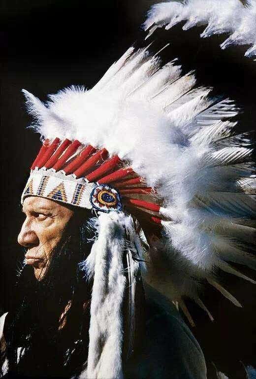 毕加索为什么这么高价,毕加索的画为何会拍出天价