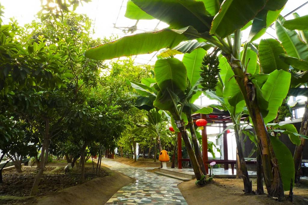 南街村的百姓生活真的好吗,如今的南街村多么富裕