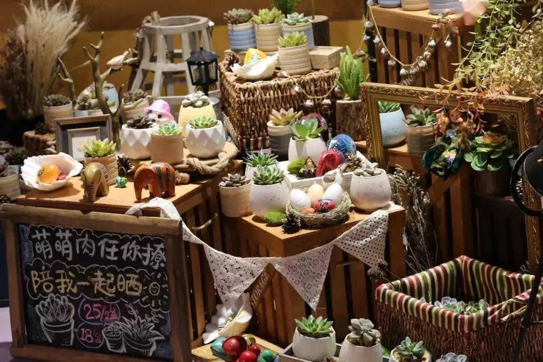 为什么地摊卖绿植,摆地摊卖绿植怎么样