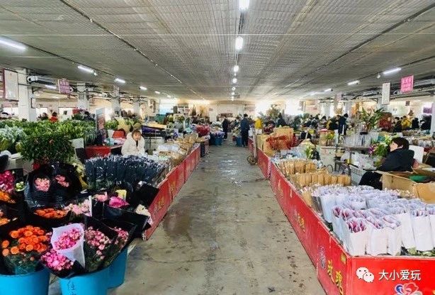 可以逛的花卉市场,值得去看的花卉市场