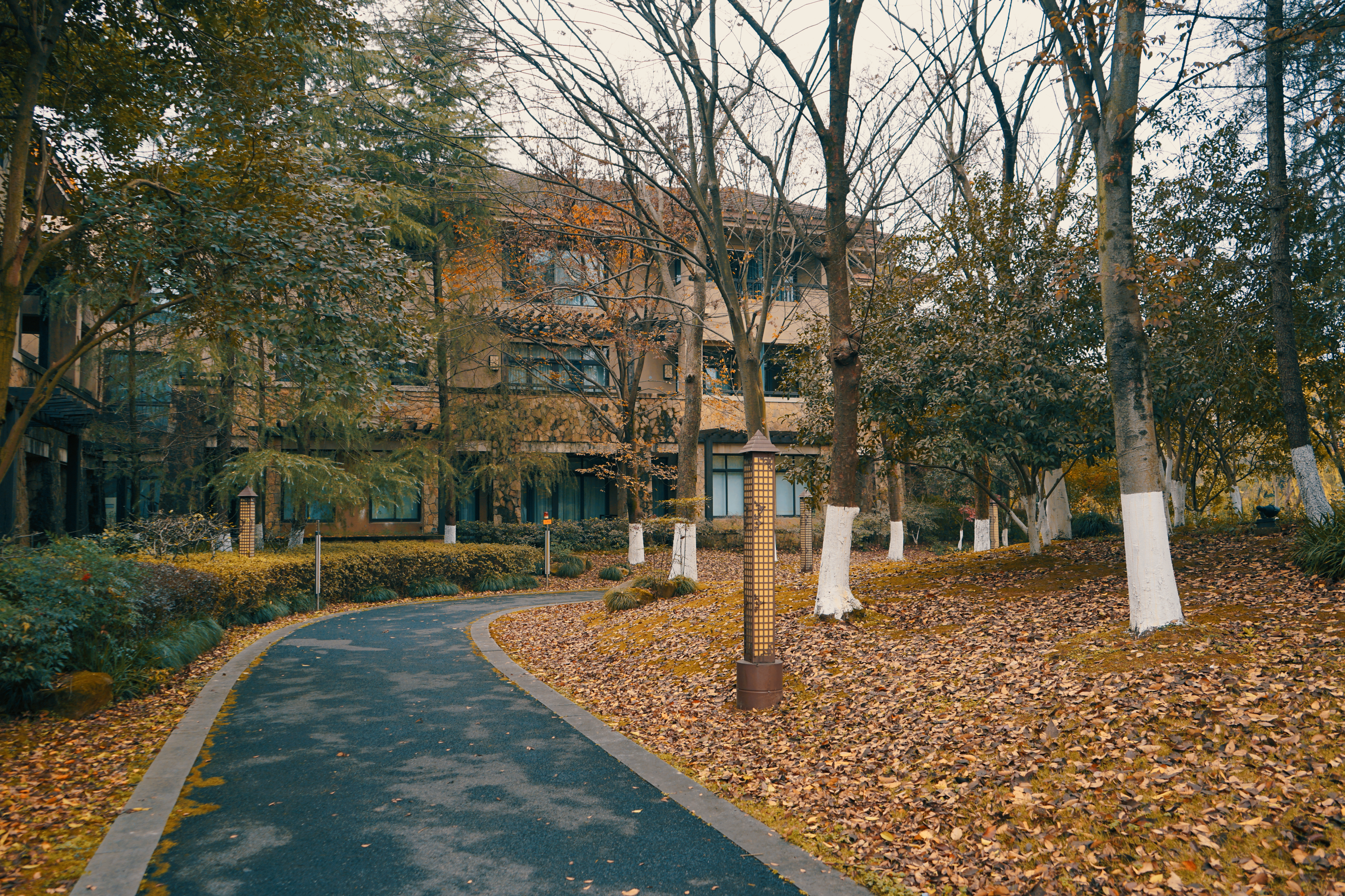 良渚君澜双人温泉,冬日暖阳泡温泉