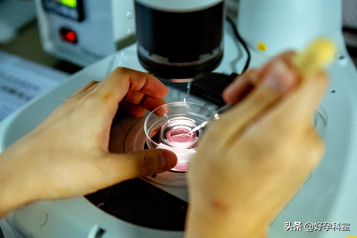 试管移植后担心黄体酮不够怎么办,试管移植后必须要补充黄体酮吗