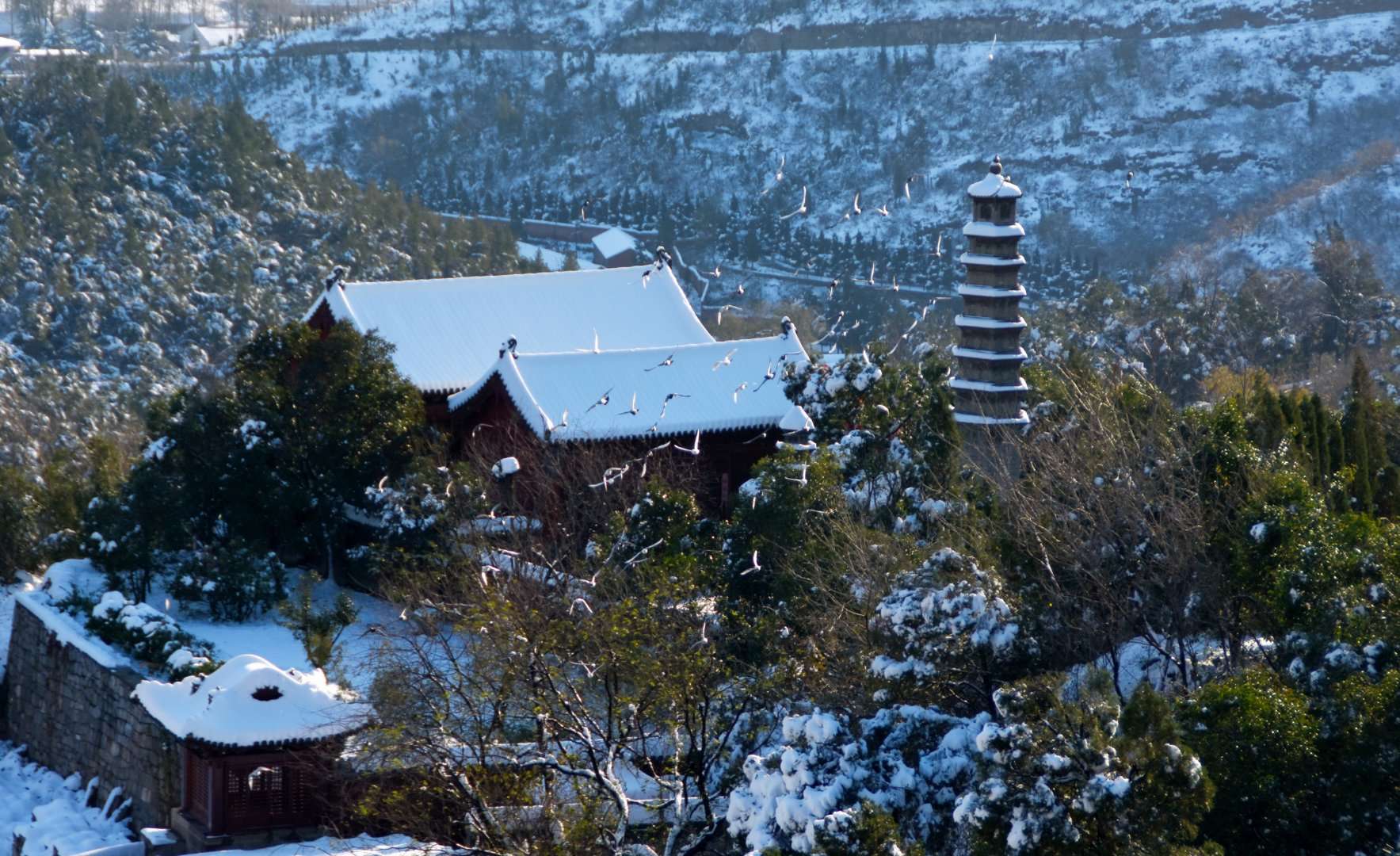 博爱有哪些历史文化,博爱的人文历史