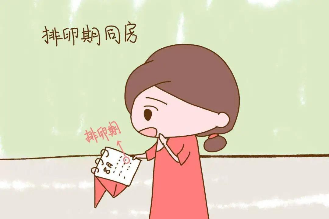 备孕监测排卵的最佳时间,监测成熟卵泡怎么提高怀孕几率