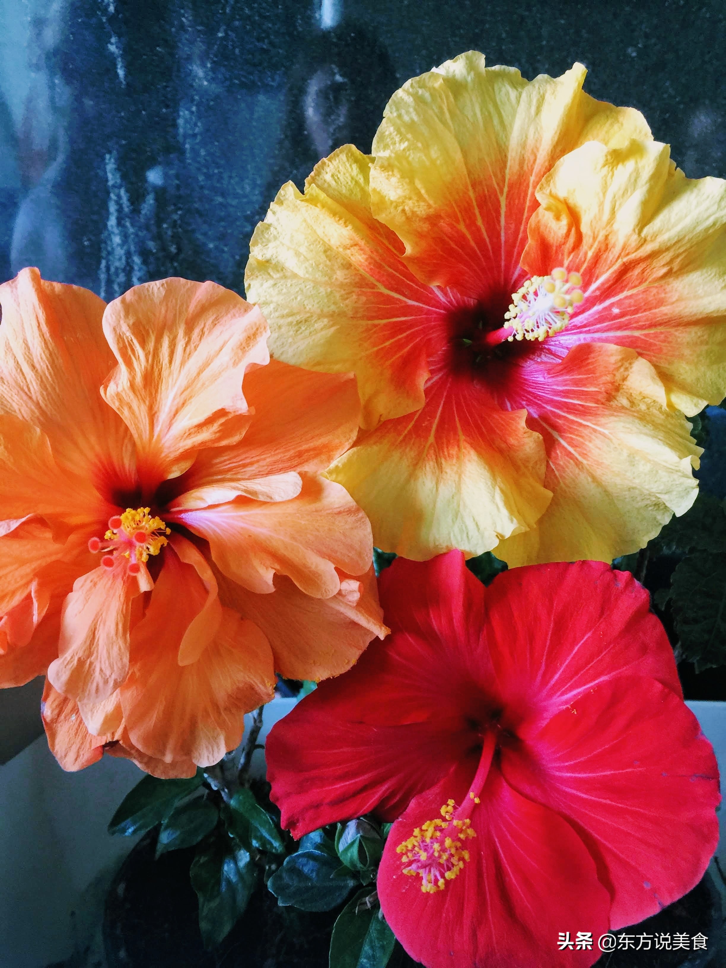 有哪些食物适合加番茄酱,番茄酱的减肥吃法大全