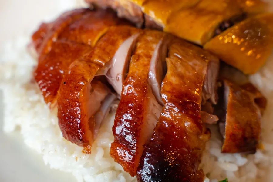 魔都粉鸭哪家好吃,烧鸭油鸡饭哪个好吃