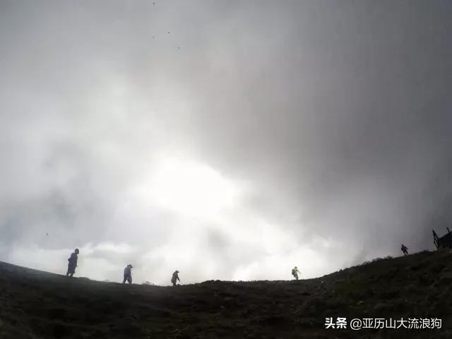 流浪云南|黑河老坡，我与驴子们的一见如故