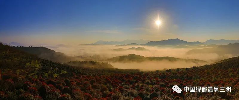 中国绿都三明旅游攻略,中国绿都乐购三明直播节明溪