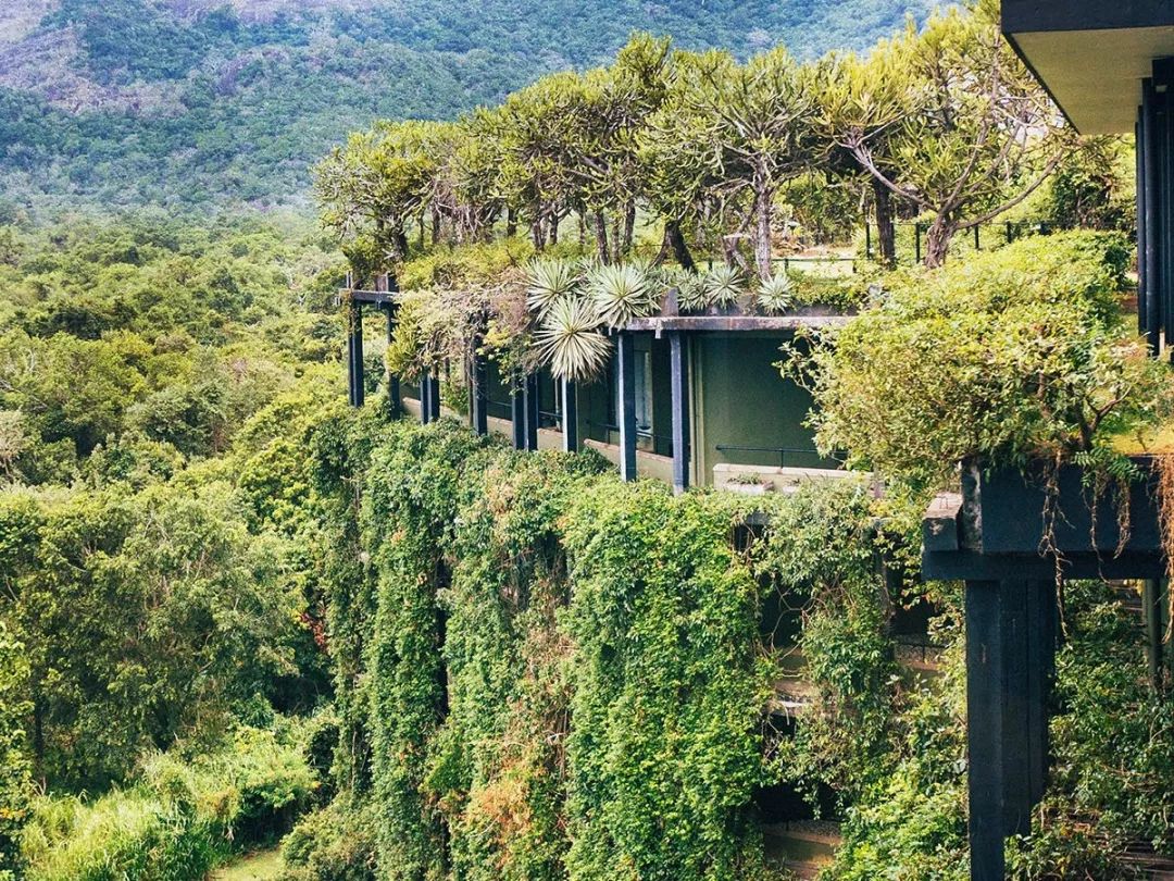 斯里兰卡对华限时免签,2023斯里兰卡免签规则