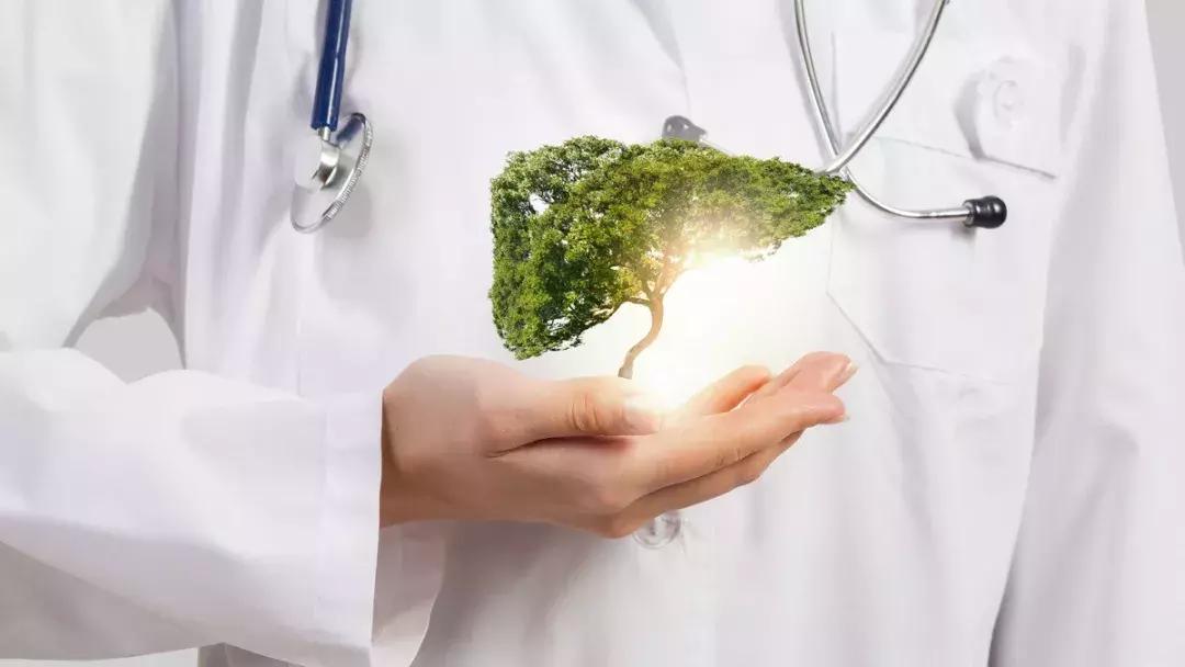 蓝莓怎么吃护眼效果最好,蓝莓护眼食材排行榜