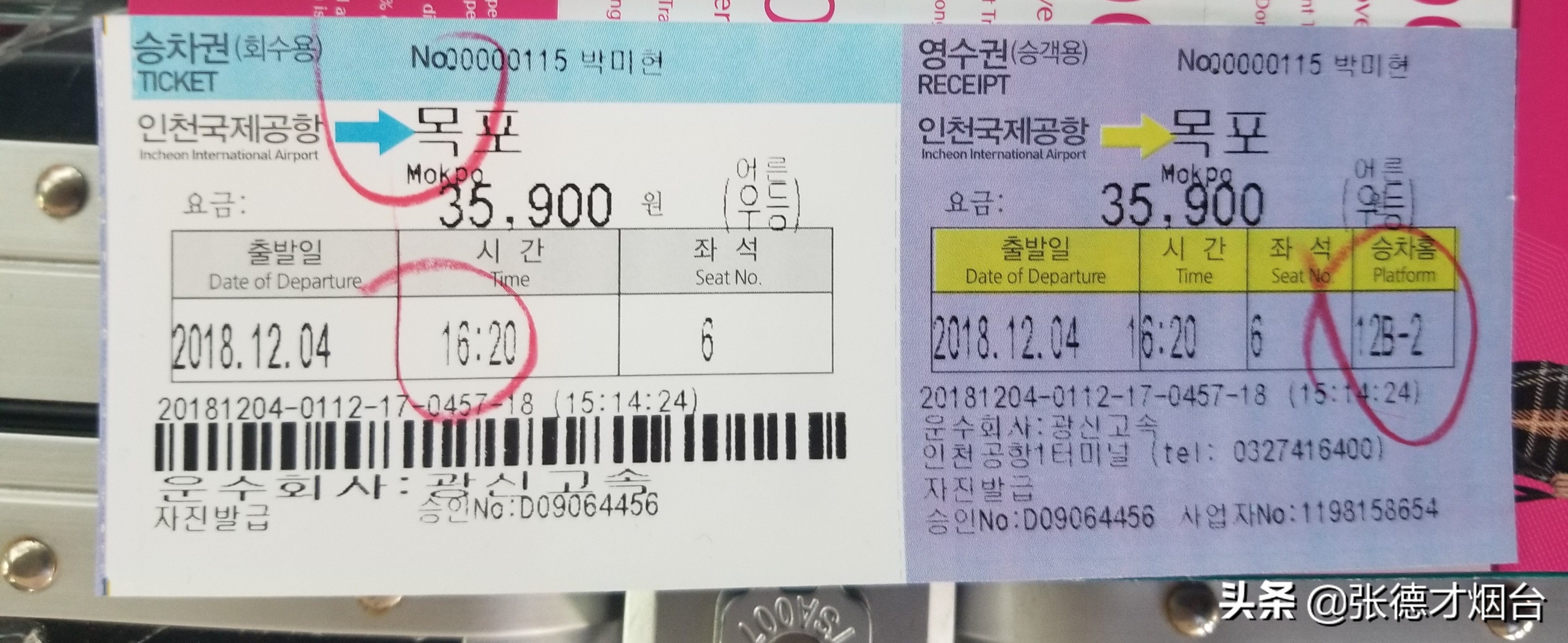 走马观花深度解析,走马观花日本版