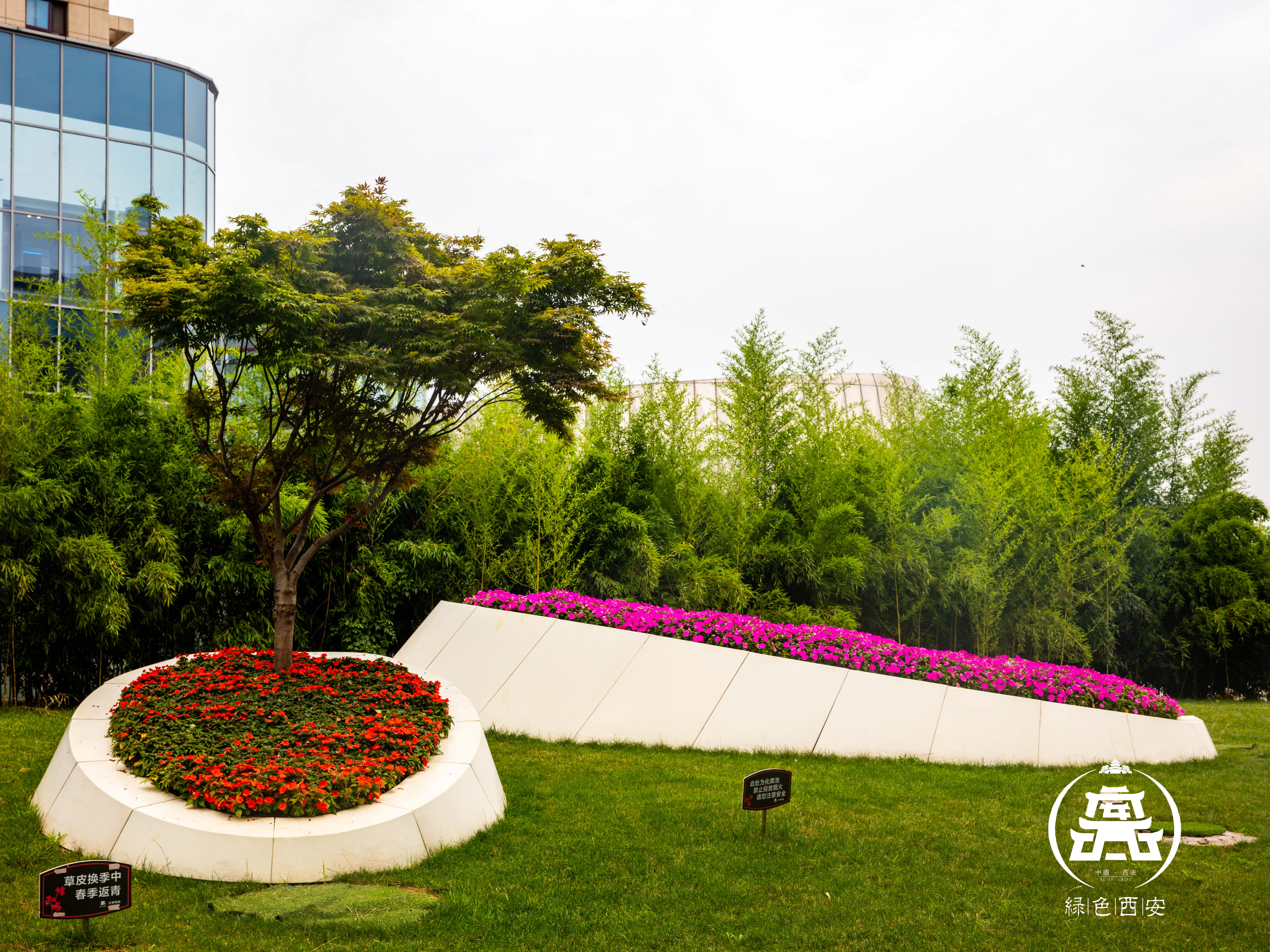 西安西部最强城市排名,关中为啥只有西安最牛